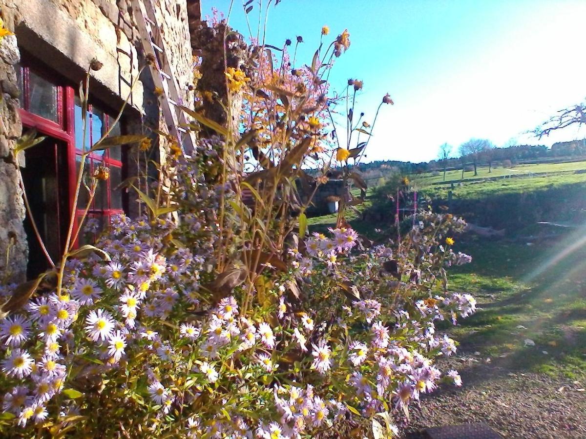 Le Marconnes Acomodação com café da manhã Saint-Arcons-de-Barges Exterior foto