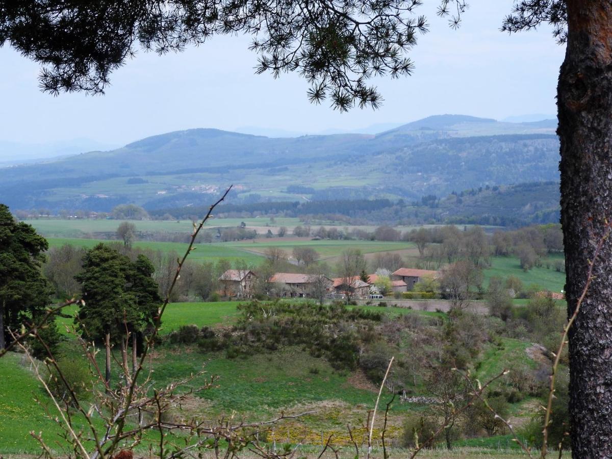 Le Marconnes Acomodação com café da manhã Saint-Arcons-de-Barges Exterior foto